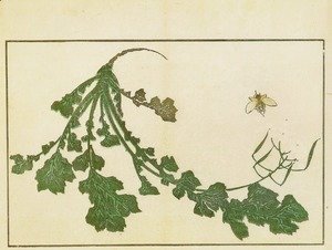 Katsushika Hokusai - Radish and Bee