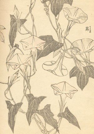 Katsushika Hokusai - Unknown 2