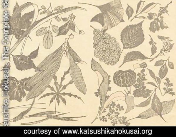 Katsushika Hokusai - Unknown 1124