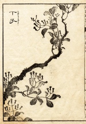 Katsushika Hokusai - Unknown 1134