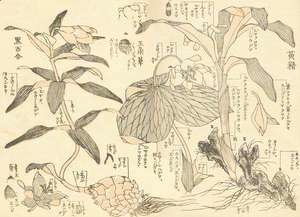 Katsushika Hokusai - Unknown 1151