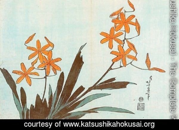 Katsushika Hokusai - Orange Orchids