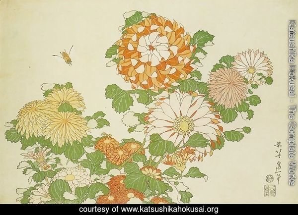 Chrysanthemum and Bee