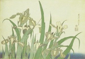 Katsushika Hokusai - Irises